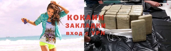 тгк Ельня