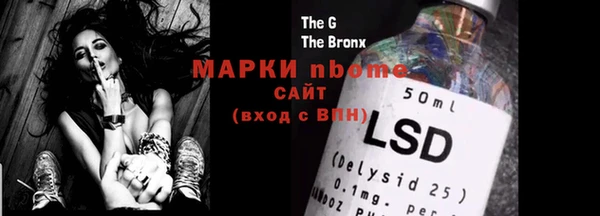 тгк Ельня