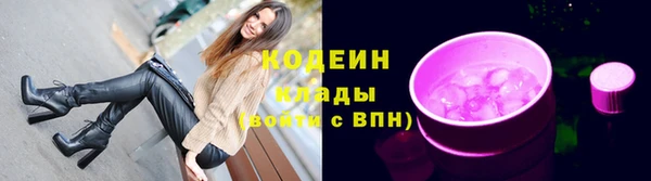 тгк Ельня