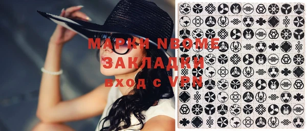 тгк Ельня