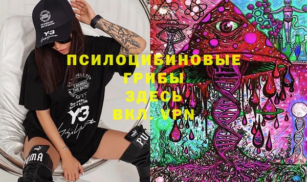 тгк Ельня