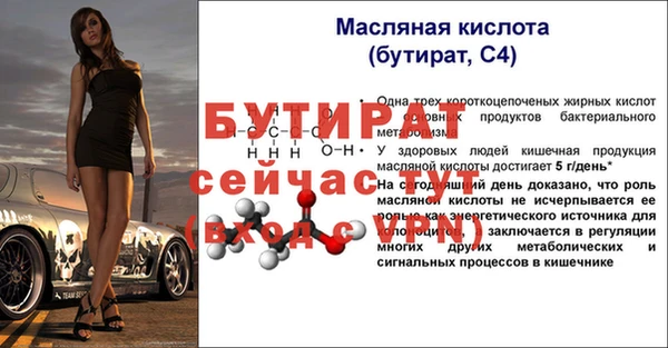 тгк Ельня