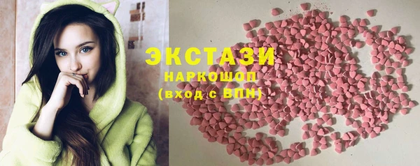 тгк Ельня